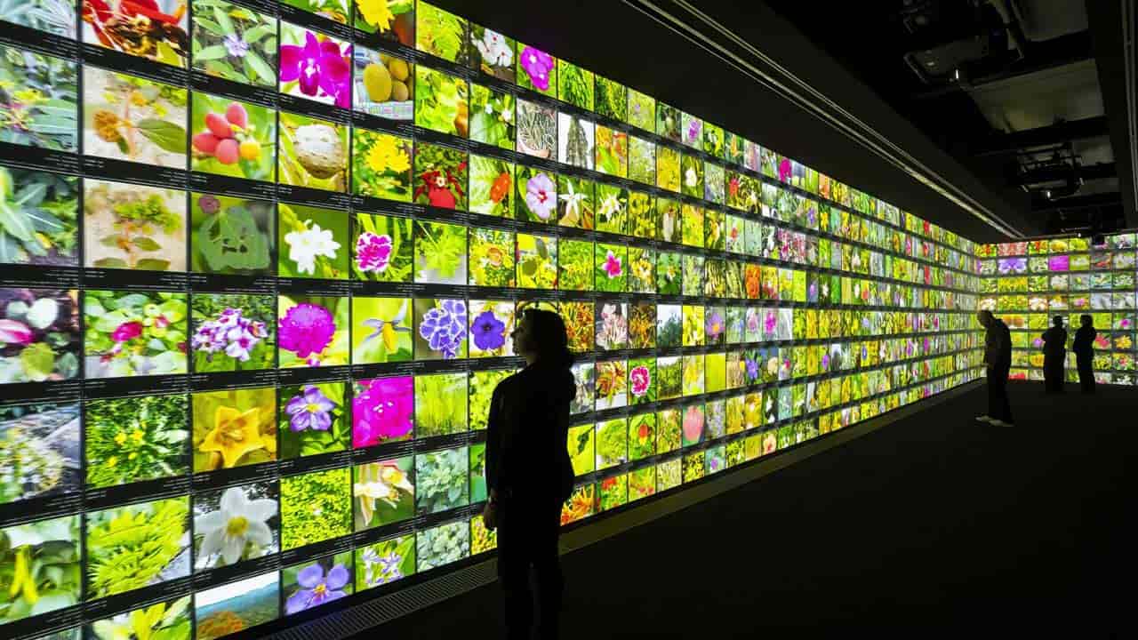 The burden and lightness of Artificial Intelligence