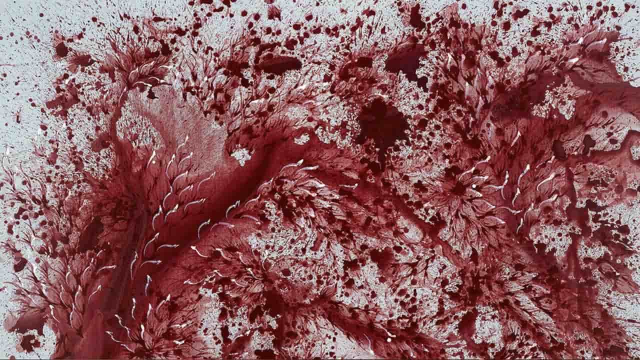 Humanizing the Dehumanized During War